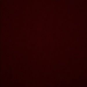 Meet your Posher, Dailyn